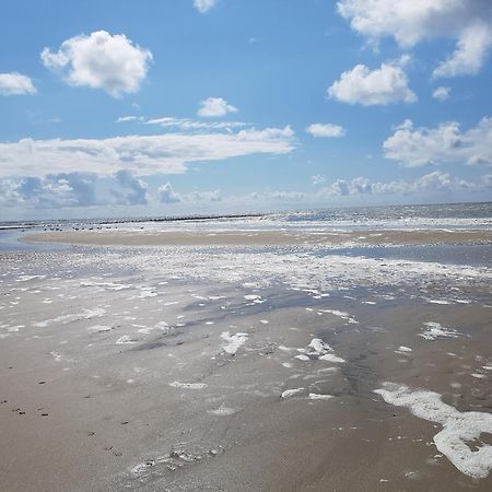 Romantisch Huisje Nabij Het Strand Met Uitzicht Op De Tulpenvelden Julianadorp Exteriör bild