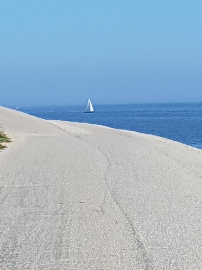 Romantisch Huisje Nabij Het Strand Met Uitzicht Op De Tulpenvelden Julianadorp Exteriör bild
