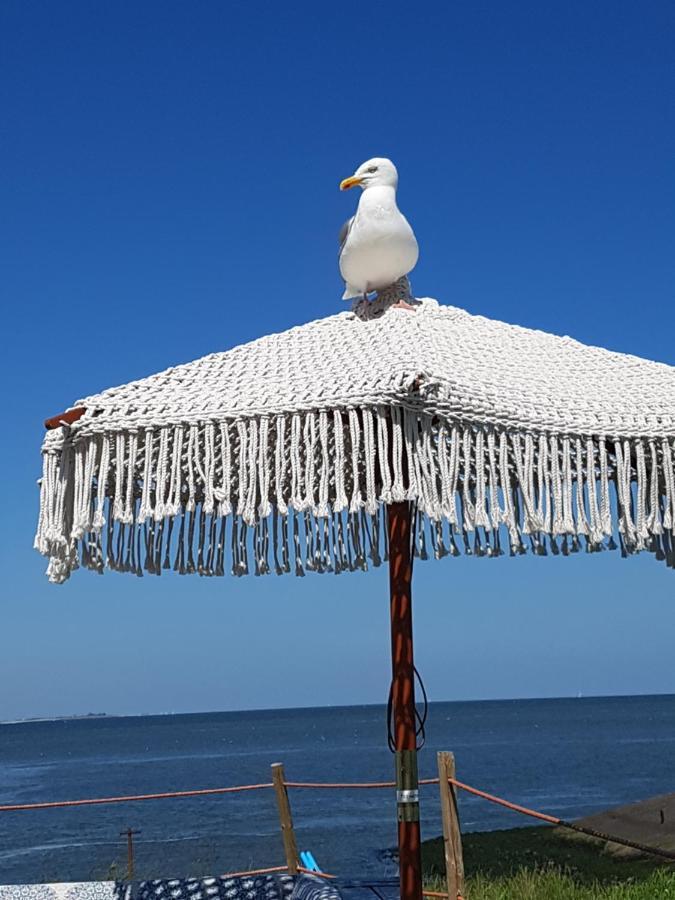 Romantisch Huisje Nabij Het Strand Met Uitzicht Op De Tulpenvelden Julianadorp Exteriör bild