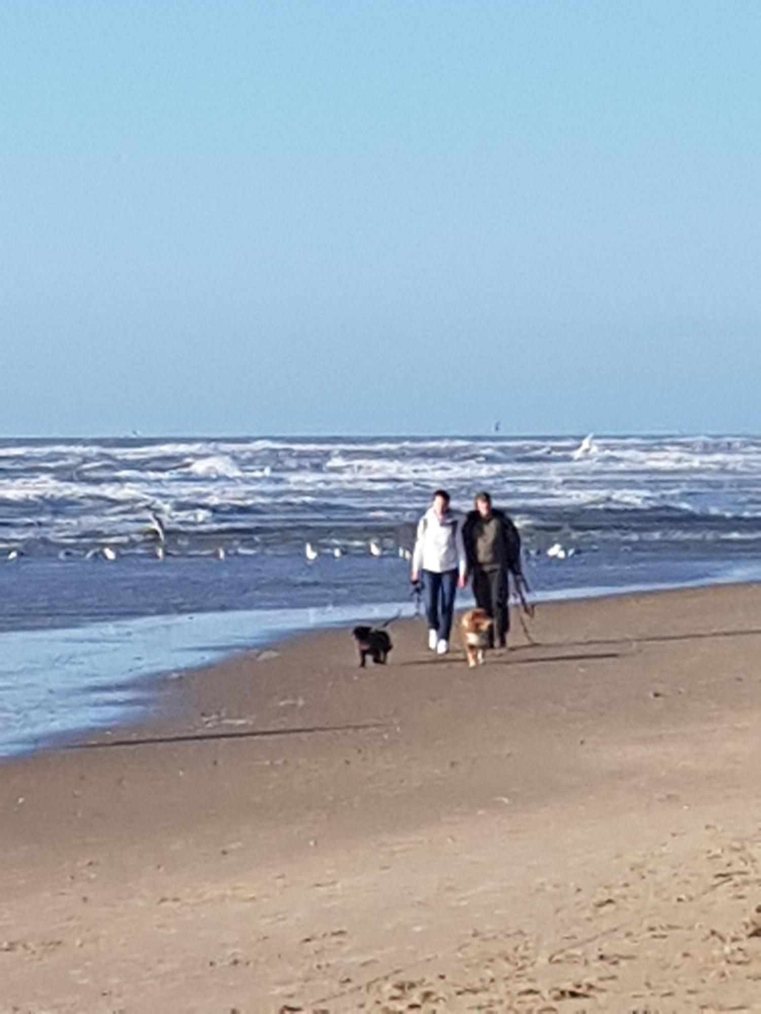 Romantisch Huisje Nabij Het Strand Met Uitzicht Op De Tulpenvelden Julianadorp Exteriör bild