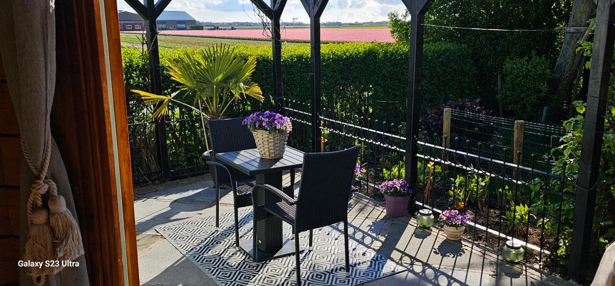 Romantisch Huisje Nabij Het Strand Met Uitzicht Op De Tulpenvelden Julianadorp Exteriör bild