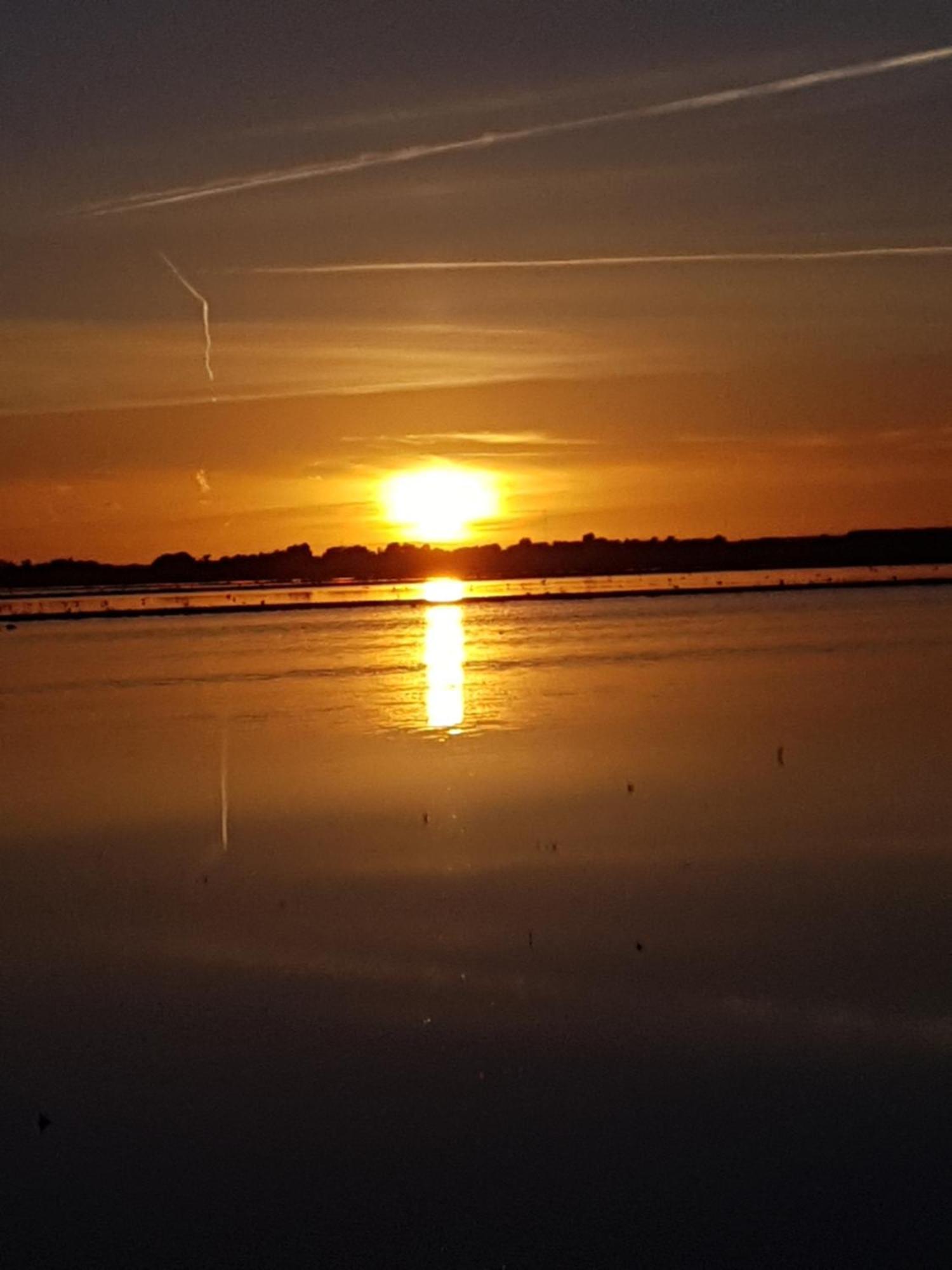 Romantisch Huisje Nabij Het Strand Met Uitzicht Op De Tulpenvelden Julianadorp Exteriör bild
