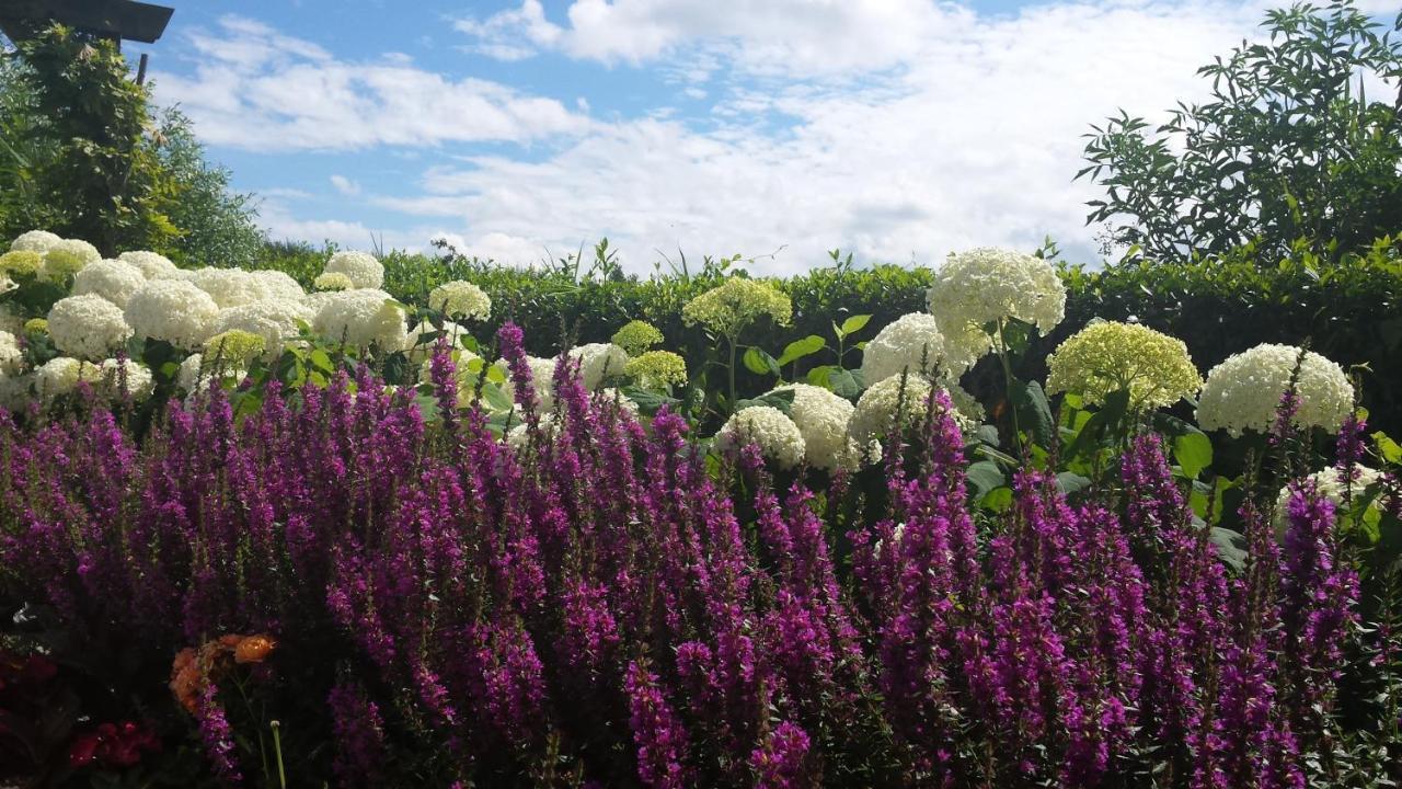 Romantisch Huisje Nabij Het Strand Met Uitzicht Op De Tulpenvelden Julianadorp Exteriör bild