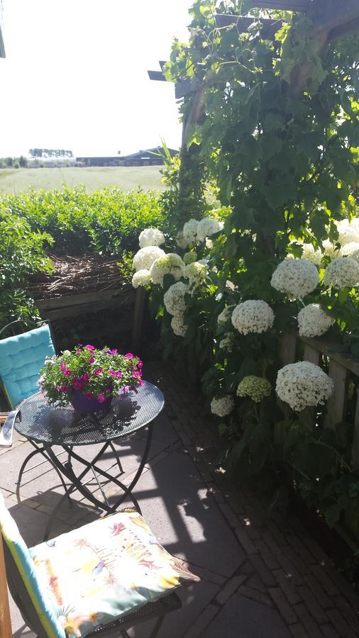 Romantisch Huisje Nabij Het Strand Met Uitzicht Op De Tulpenvelden Julianadorp Exteriör bild
