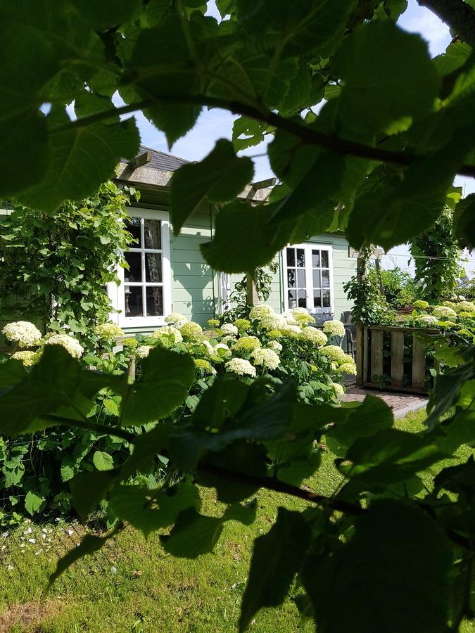 Romantisch Huisje Nabij Het Strand Met Uitzicht Op De Tulpenvelden Julianadorp Exteriör bild